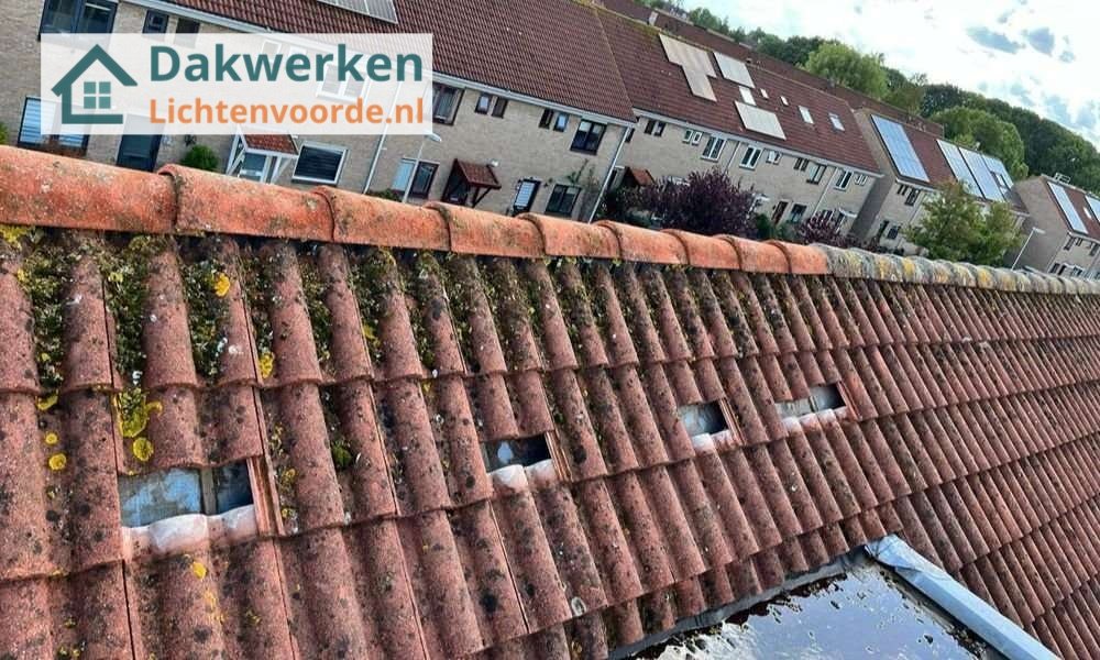 Een dakrenovatie bij oud pannendak Een dakrenovatie bij oud pannendak in Lichtenvoorde